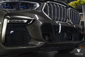 BMW X6 -Защитная сетка в бампер